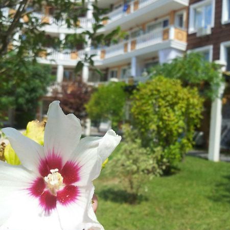 Villa Aria Complex Слънчев бряг Екстериор снимка