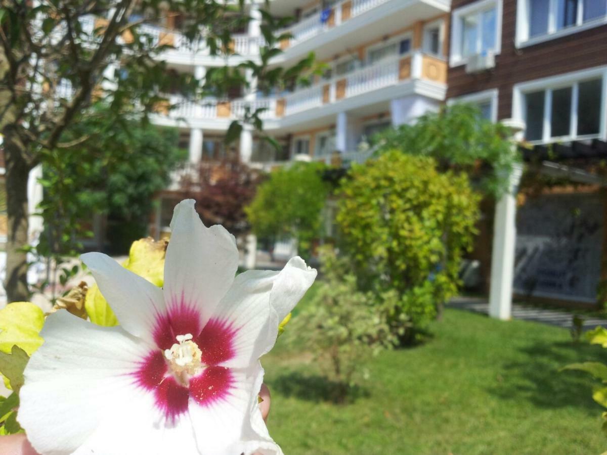 Villa Aria Complex Слънчев бряг Екстериор снимка